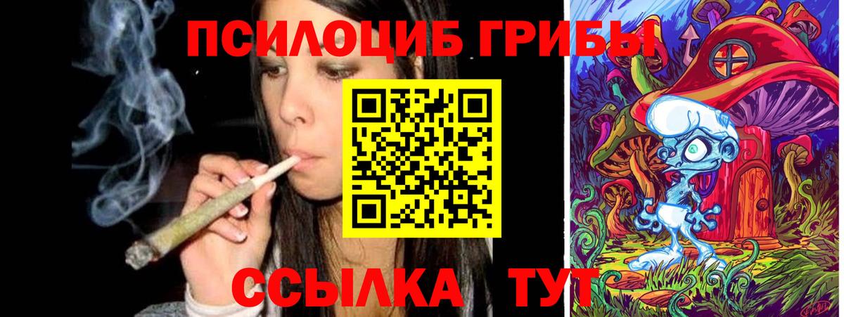 Псилоцибиновые грибы Psilocybine cubensis  Вход с VPN  Гусев 
